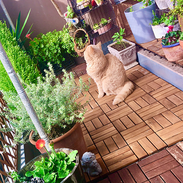 naokoさんの実例写真