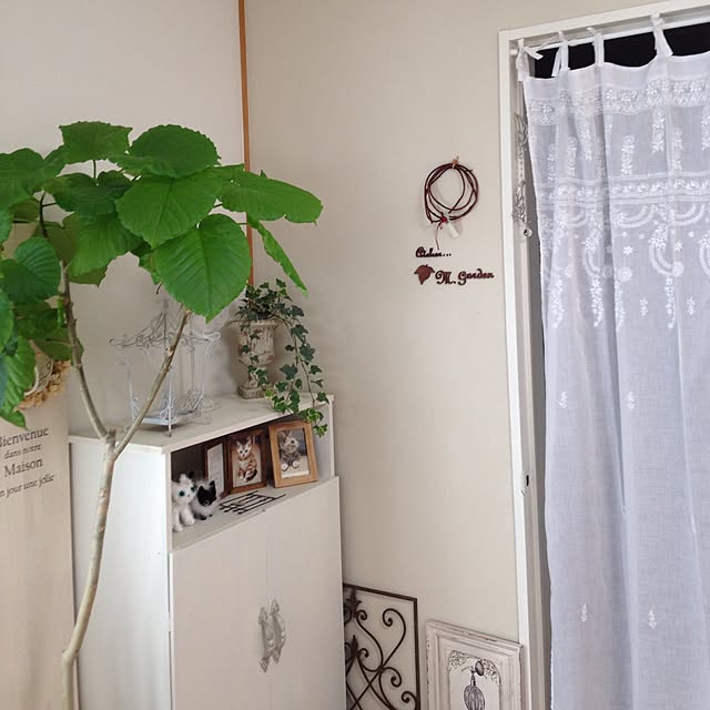 m.cocogardenさんの実例写真