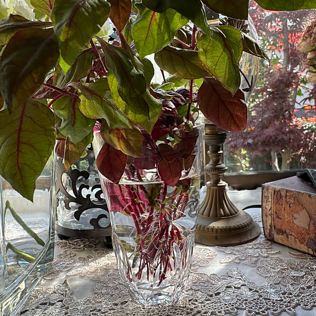 mamizaさんの部屋