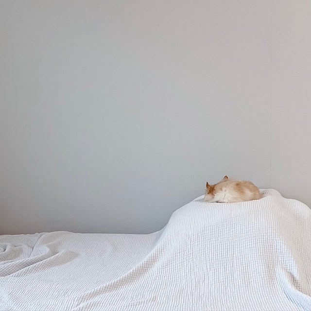 mariさんの実例写真