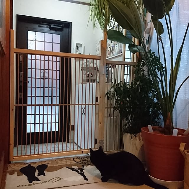 taleo07さんの実例写真