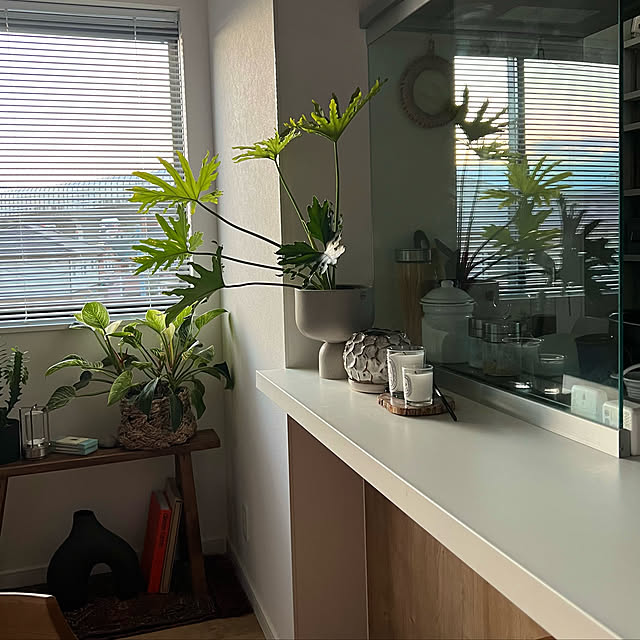 北欧モダン/カフェ風インテリア/カフェ風/北欧/観葉植物...などのインテリア実例 - 2023-01-20 21:09:17