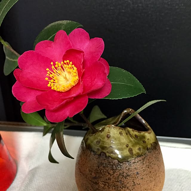 kasさんの実例写真
