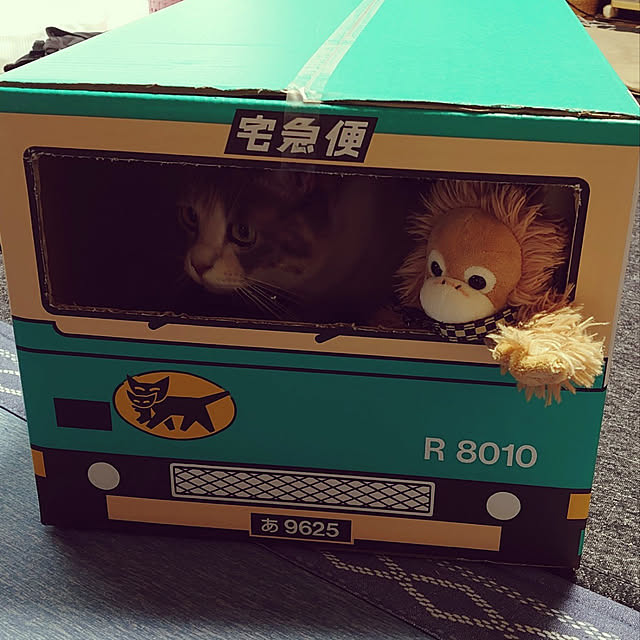 fukuさんの実例写真