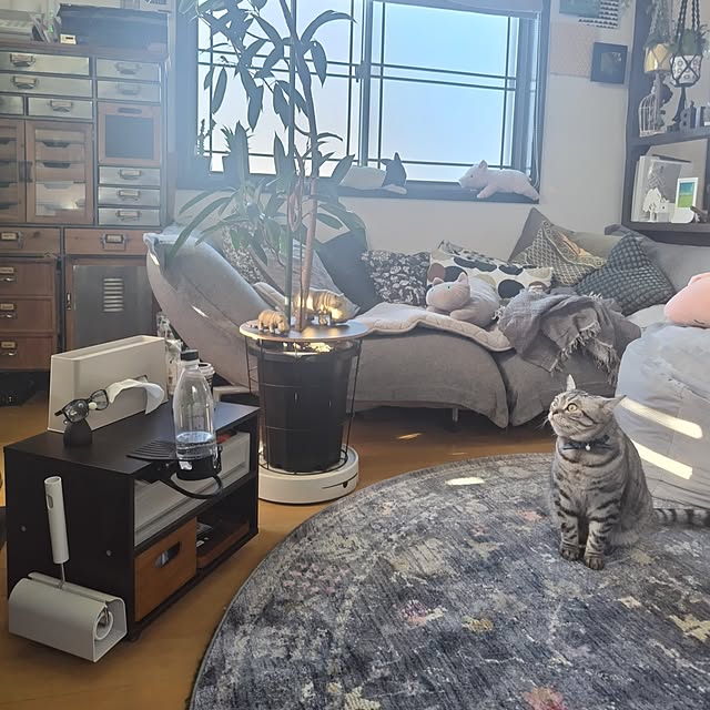 hiro3さんの実例写真