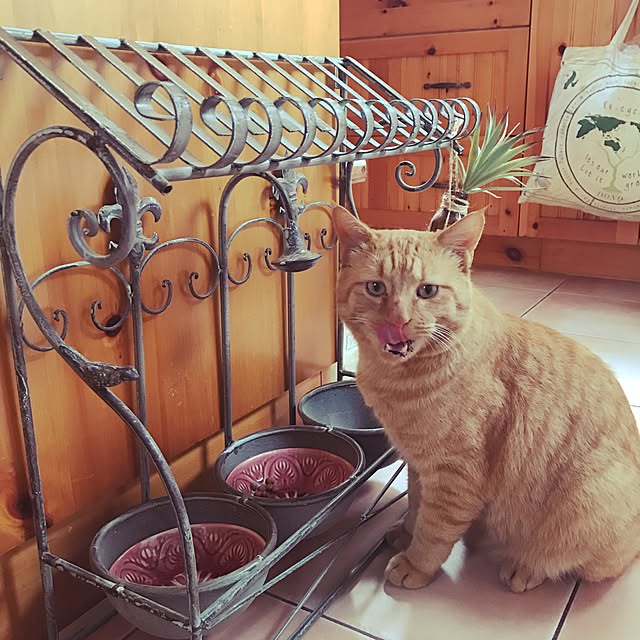 klaroomさんの実例写真