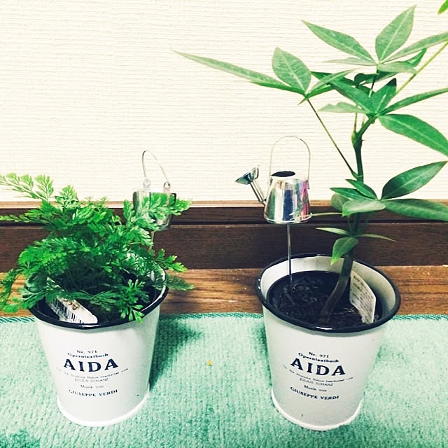 risaさんの実例写真