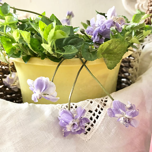 Chigusaさんの部屋