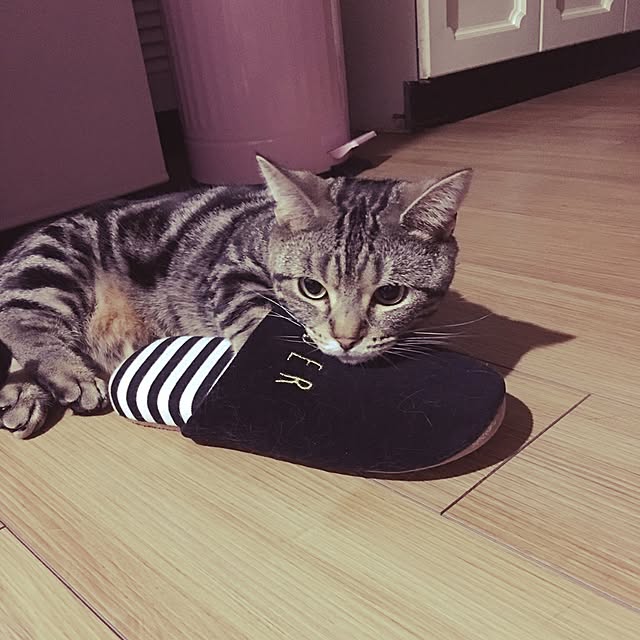 tomommyさんの実例写真