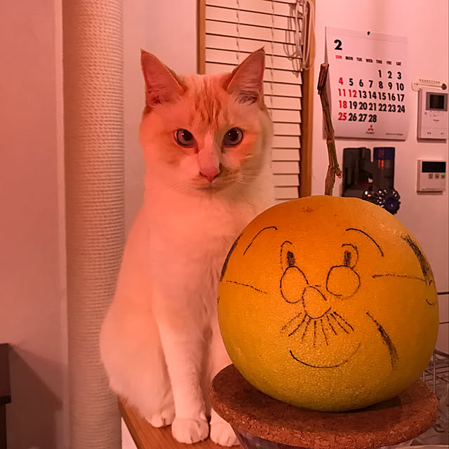 sakurasakuさんの実例写真