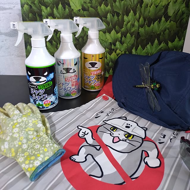 NOAHさんの部屋