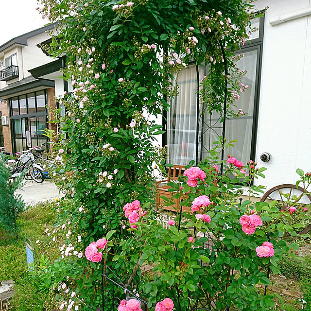 Midoriさんの実例写真