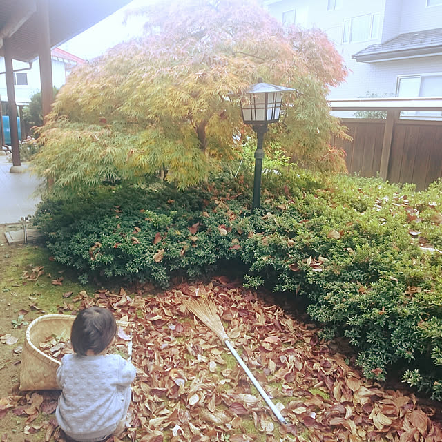 玄関/入り口/こどもと暮らす/田舎暮らし/野鳥の来る庭/紅葉...などのインテリア実例 - 2018-11-10 12:14:33