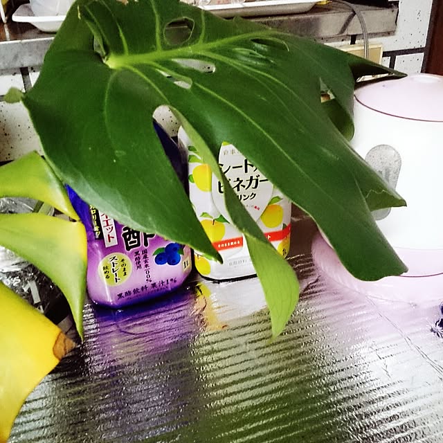 yutorogiさんの実例写真
