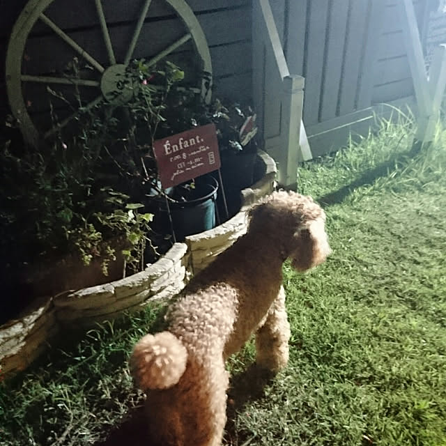 mocamamaさんの実例写真
