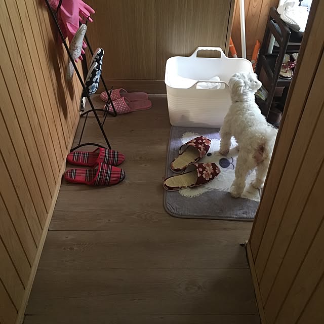 konohaさんの実例写真