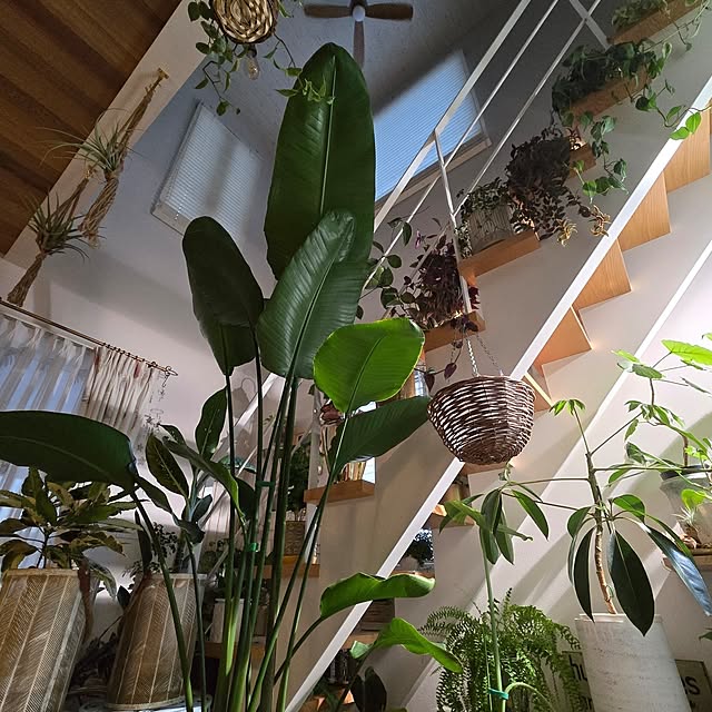 nonbiri_house_さんの部屋
