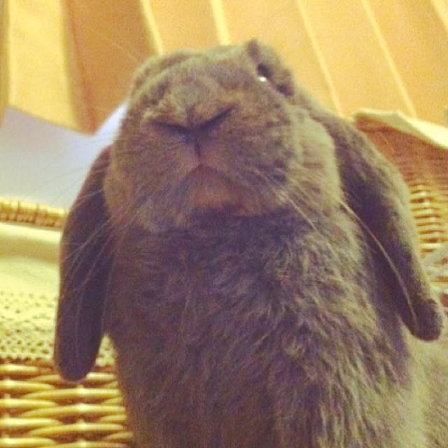 calminさんの実例写真