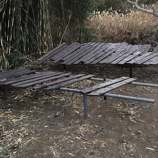 backyard2016さんの実例写真