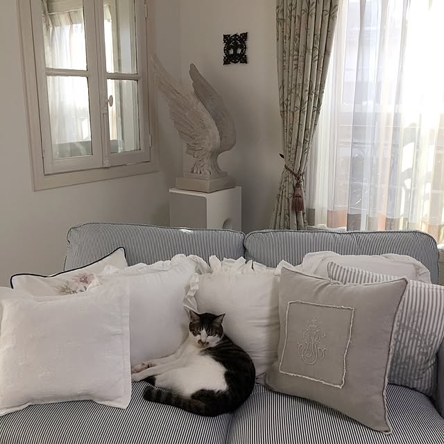 yuchiさんの実例写真