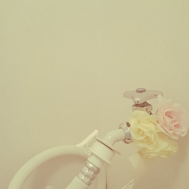 ayanさんの実例写真