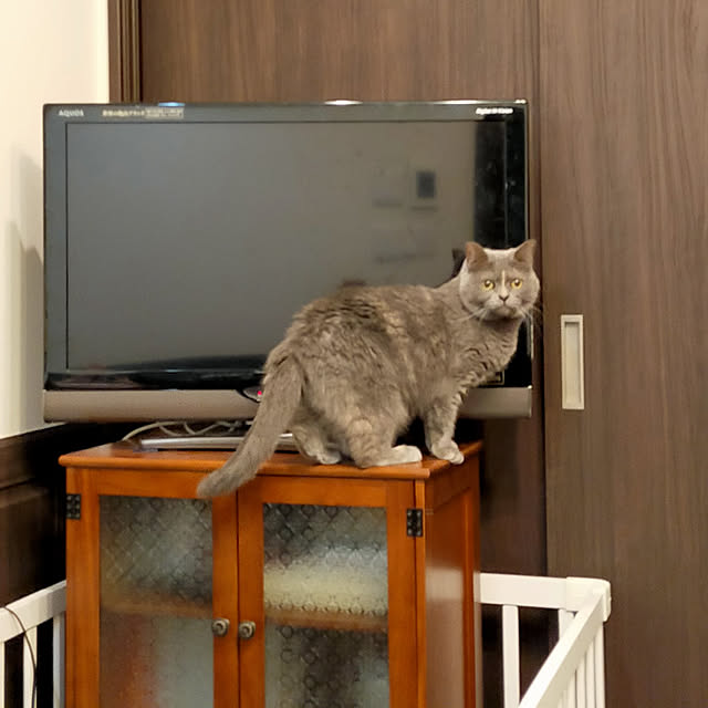 charlotteさんの実例写真
