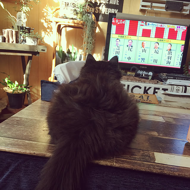 chocolatさんの実例写真