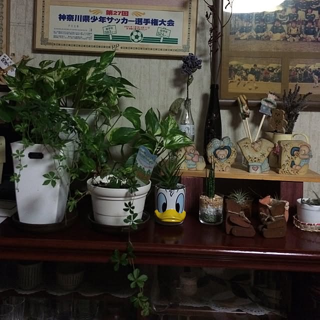 Masamiさんの実例写真