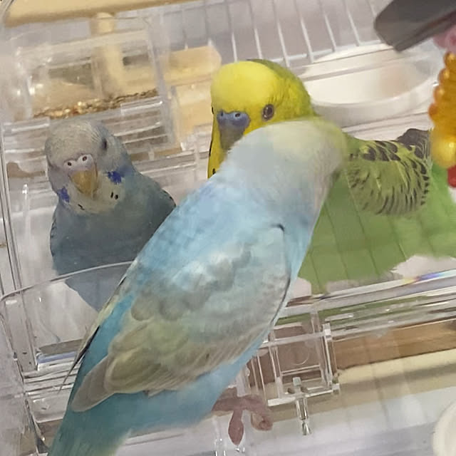 ohanaさんの部屋