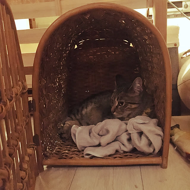 Mさんの実例写真