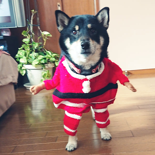 tsutawarimasuさんの実例写真