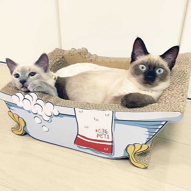 aichinさんの実例写真