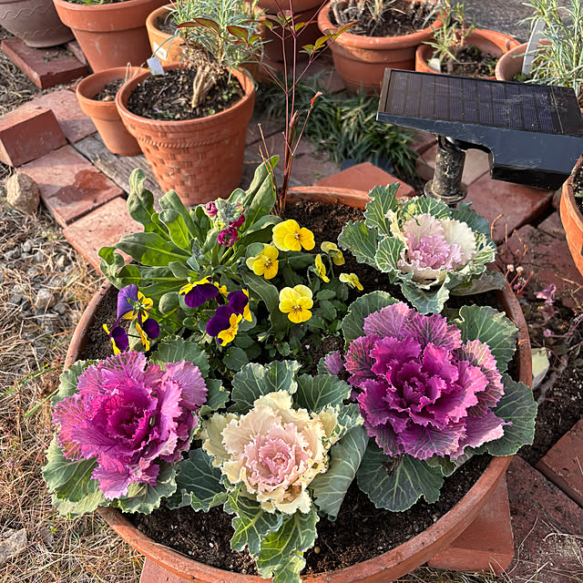 akesanさんの実例写真