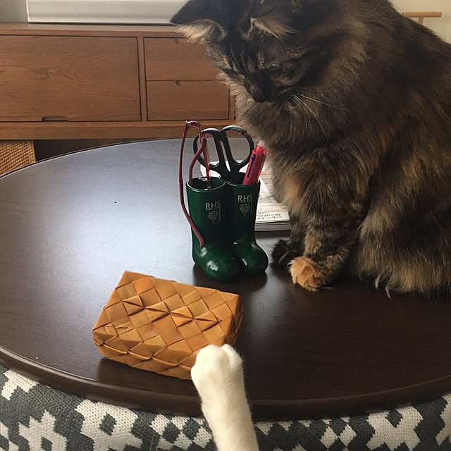 mikomaruさんの実例写真