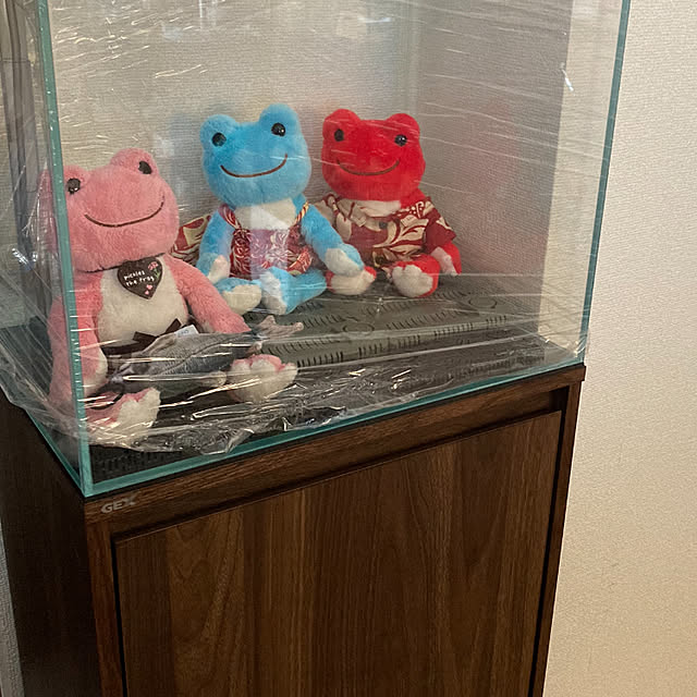 ayapigeonさんの実例写真