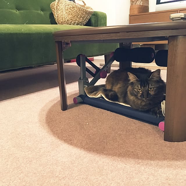 mikomaruさんの実例写真