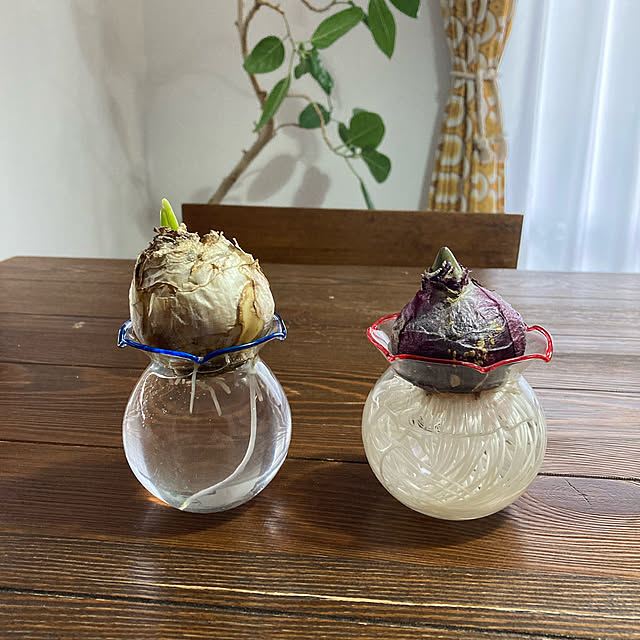 FUJICOさんの実例写真