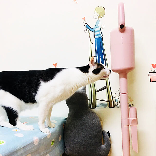 pcu110さんの実例写真