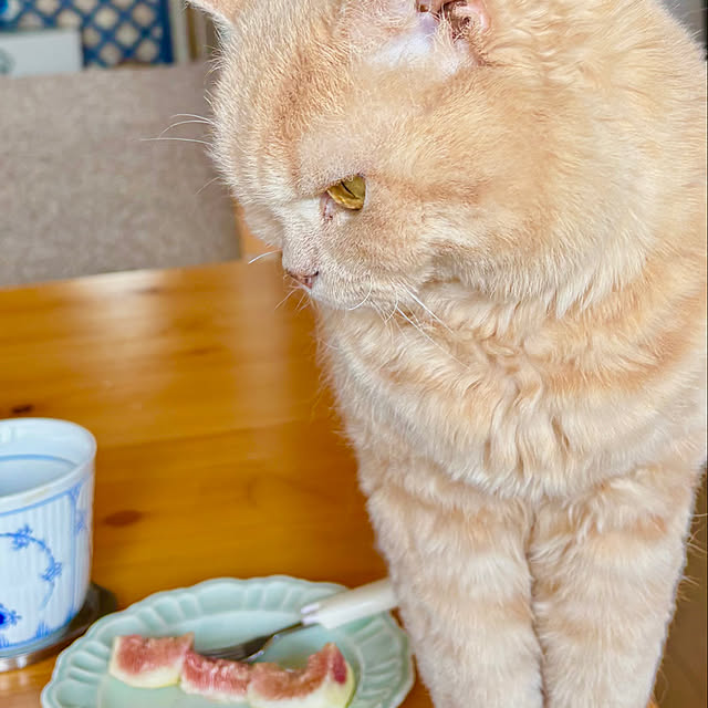 naokoさんの部屋