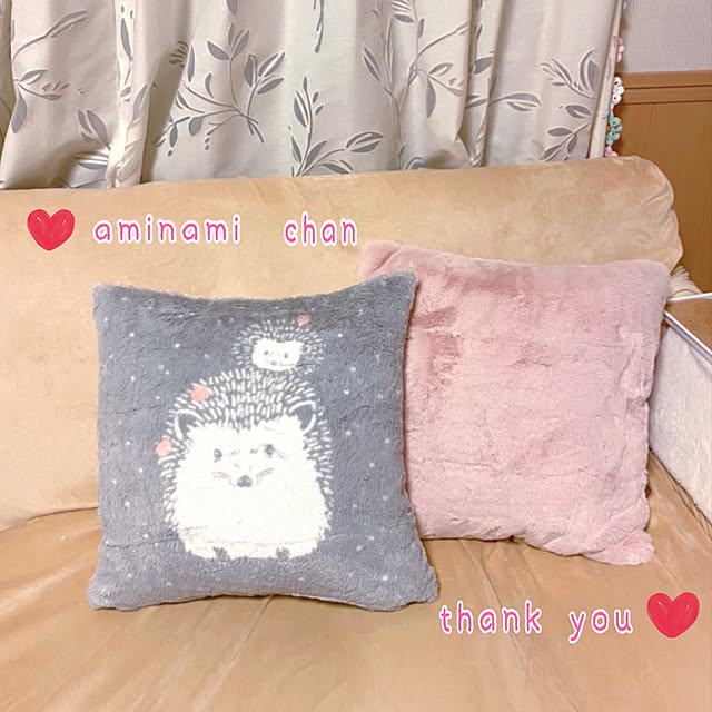 anzさんの実例写真