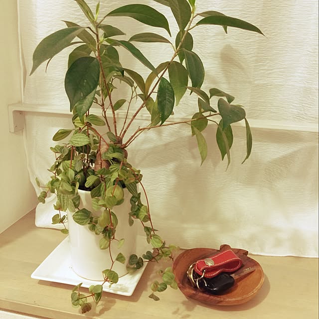 cochimiさんの実例写真