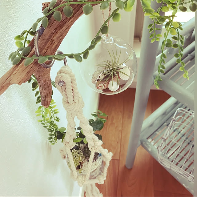 模様替え/植物/フェイクグリーン/多肉植物/棚...などのインテリア実例 - 2018-07-15 14:26:38
