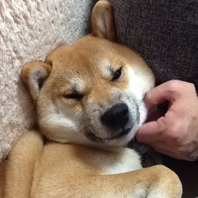 kotaさんの実例写真