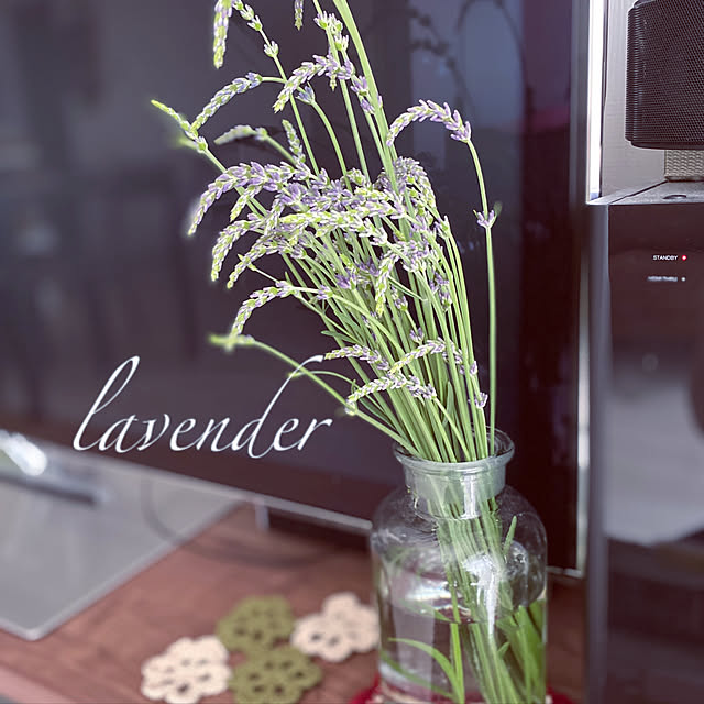 Love.Lapinさんの実例写真