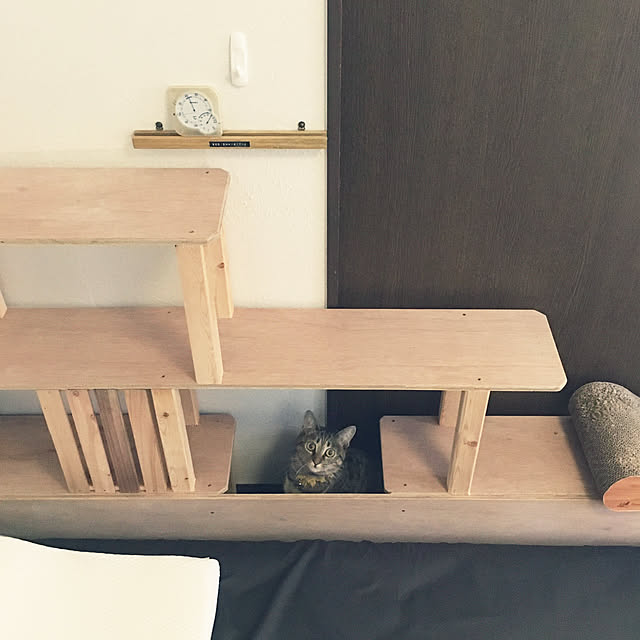 Mさんの実例写真