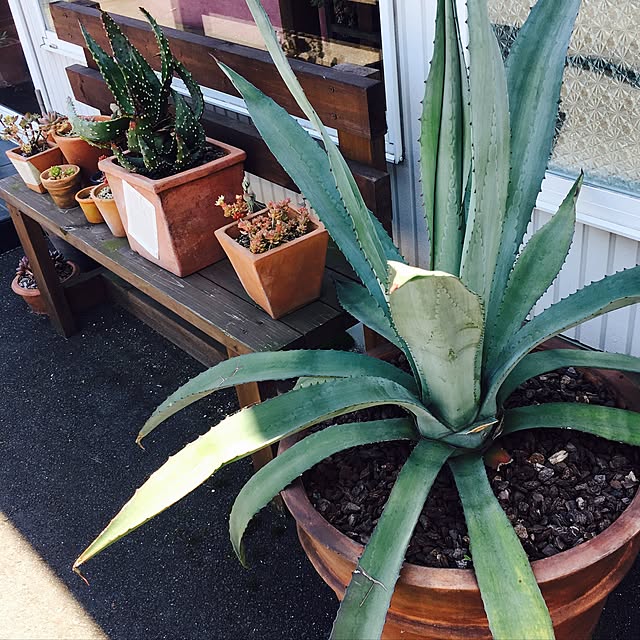 abcさんの実例写真