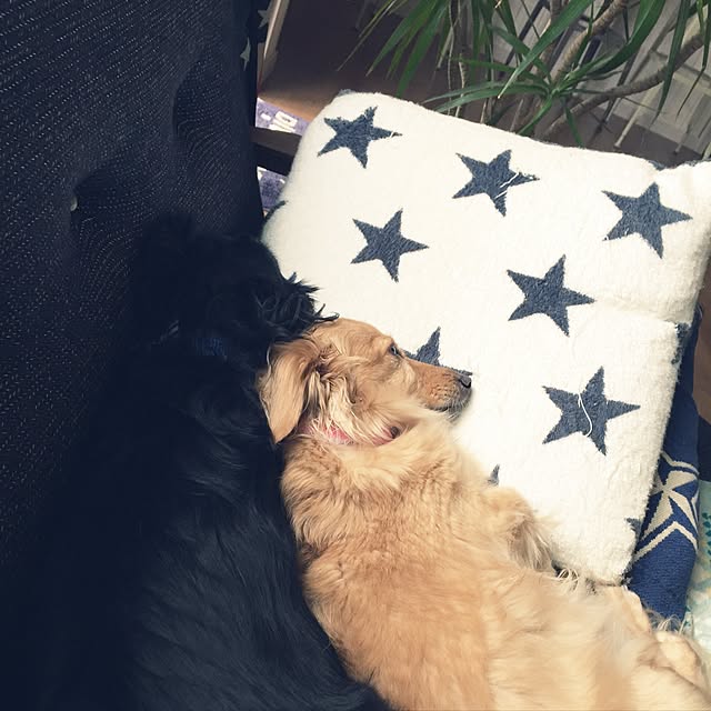 R_u_m_iiさんの実例写真