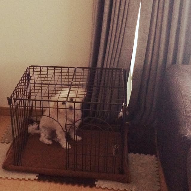 nishyringoさんの実例写真
