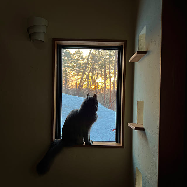 Kikko.さんの実例写真