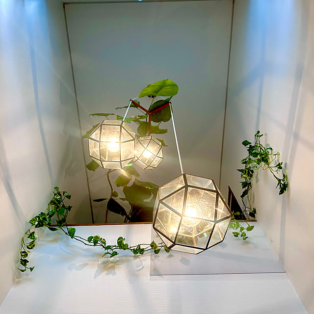 miiis.greenさんの実例写真